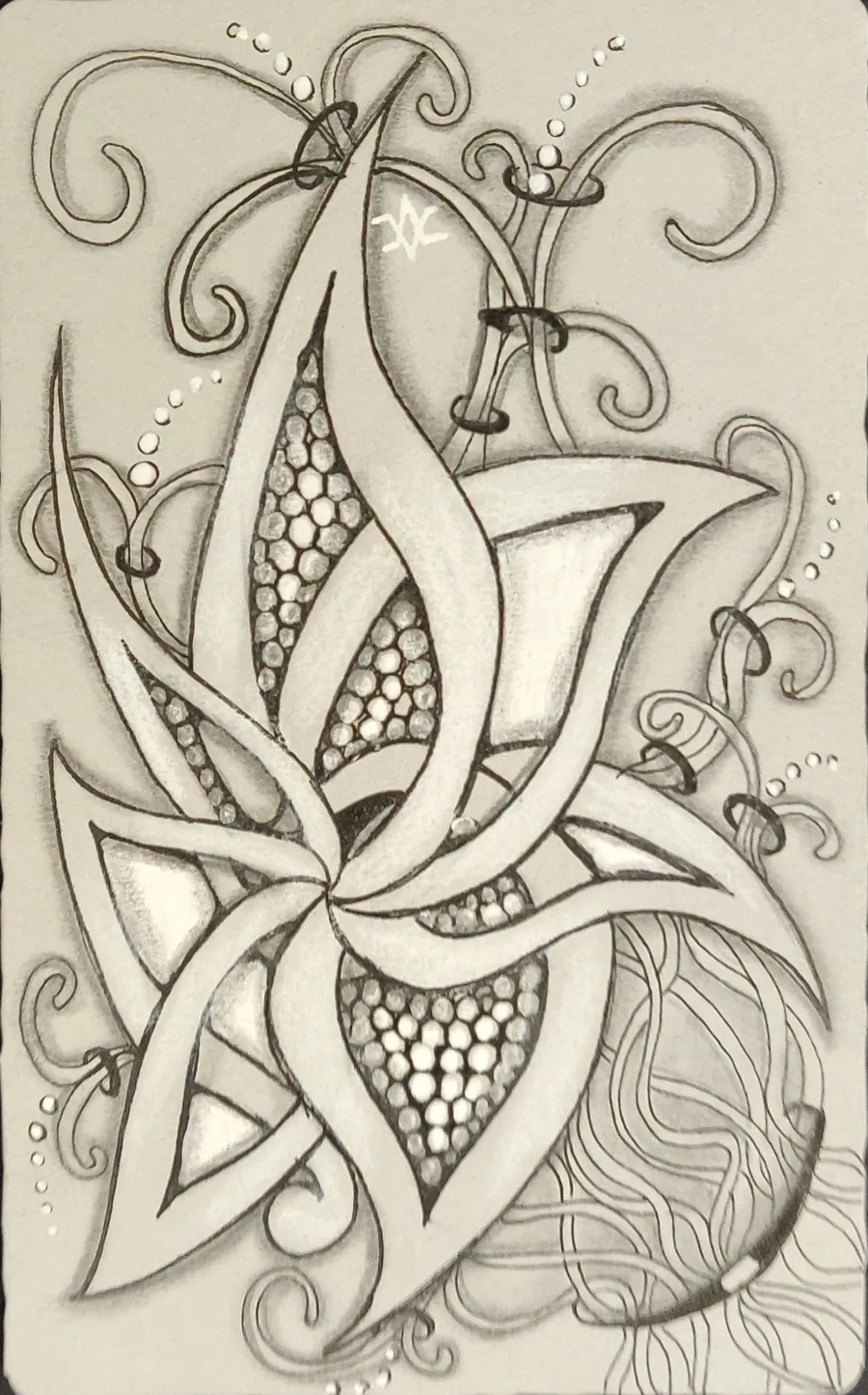 Graphite-shaded Zentangle drawing of flowing leaves